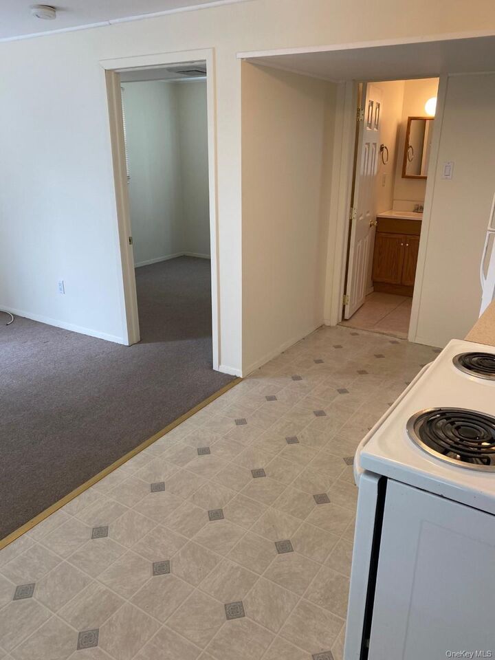 Property Photo:  109 Franklin Ave. Franklin Avenue  NY 11784 