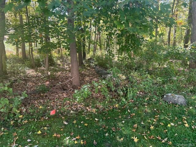Property Photo:  Lot 16 Buttonwood Avenue  NY 10567 