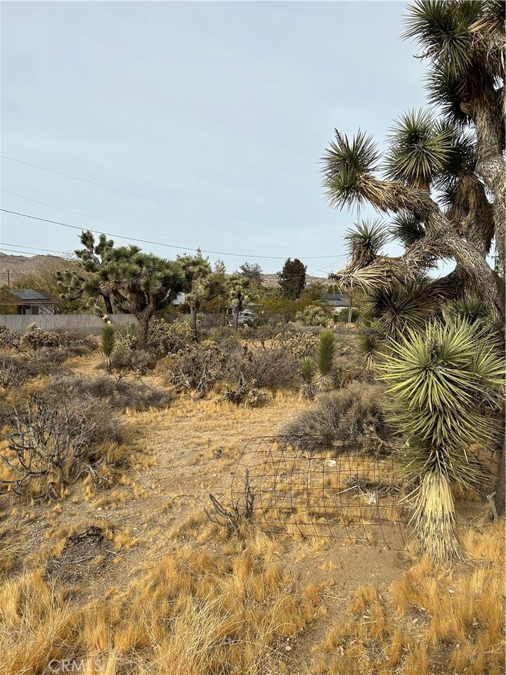 Property Photo: 0 Piute Trail CA 92374
