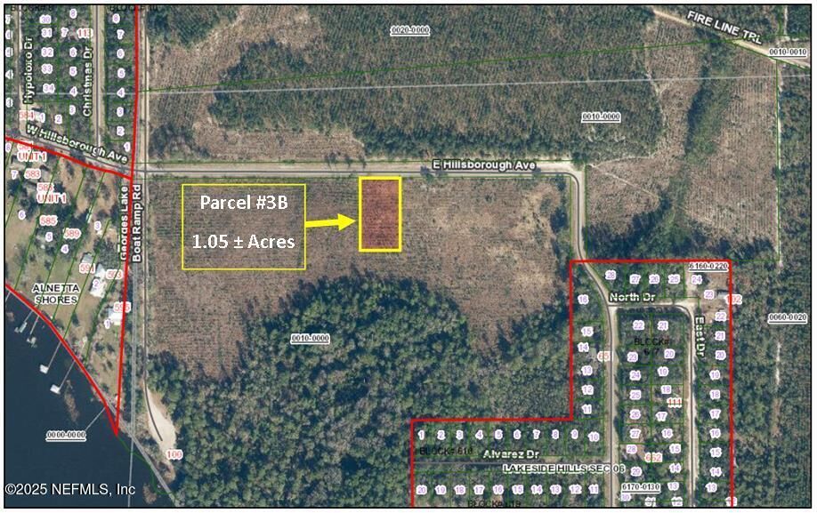 Property Photo: Parcel 3B E Hillsborough Avenue FL 32140
