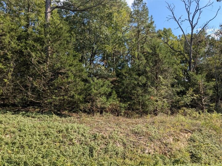 Property Photo:  32 South Hills Loop  AR 72631 