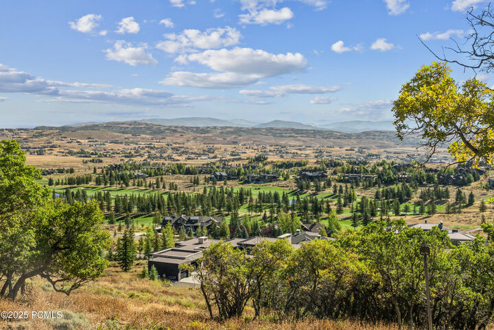 Property Photo:  1146 Snow Berry Street  UT 84098 