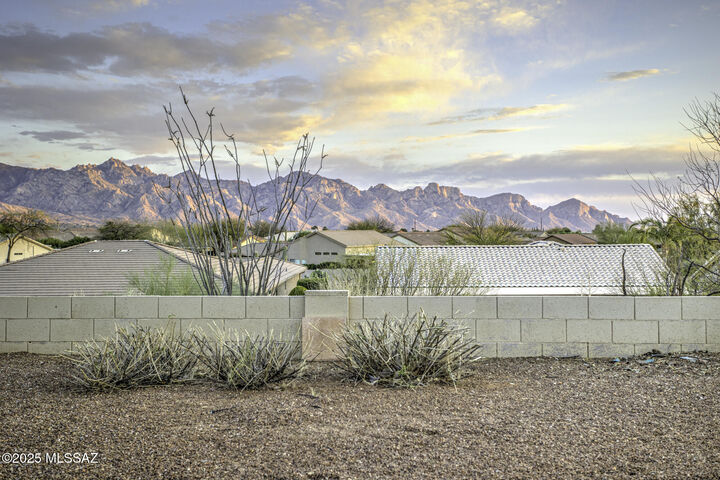 62583 E Amberwood Drive  Saddlebrooke AZ 85739 photo
