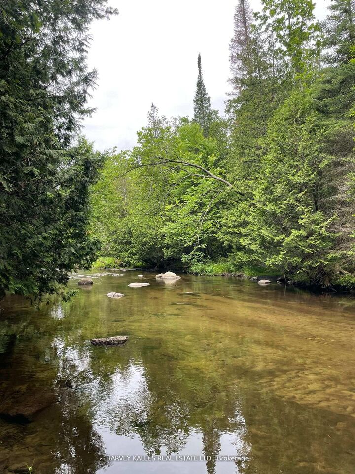 79 Gummow Road  Trent Hills ON K0K 3K0 photo