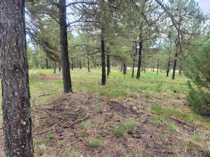 Property Photo:  24653 Outback Trail  SD 57744 