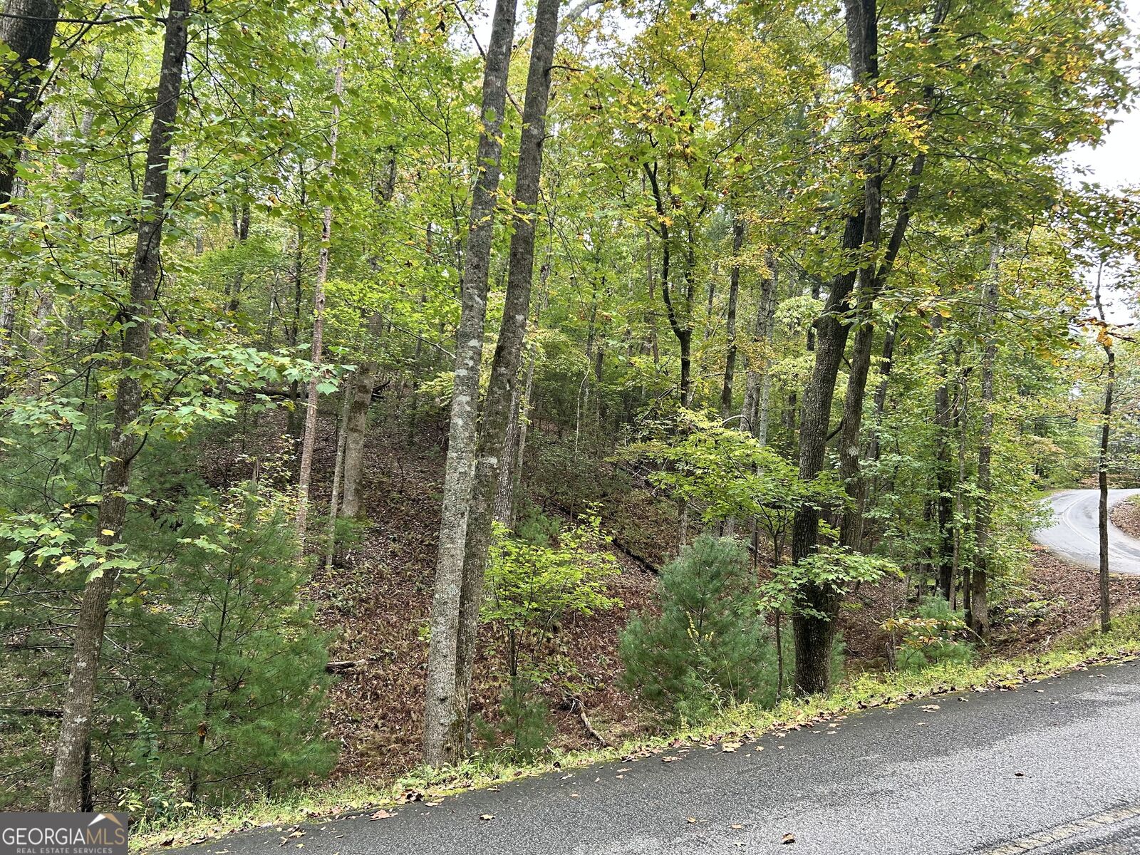 Property Photo: 0 Lower Gap Road Lowr Gap GA 30571