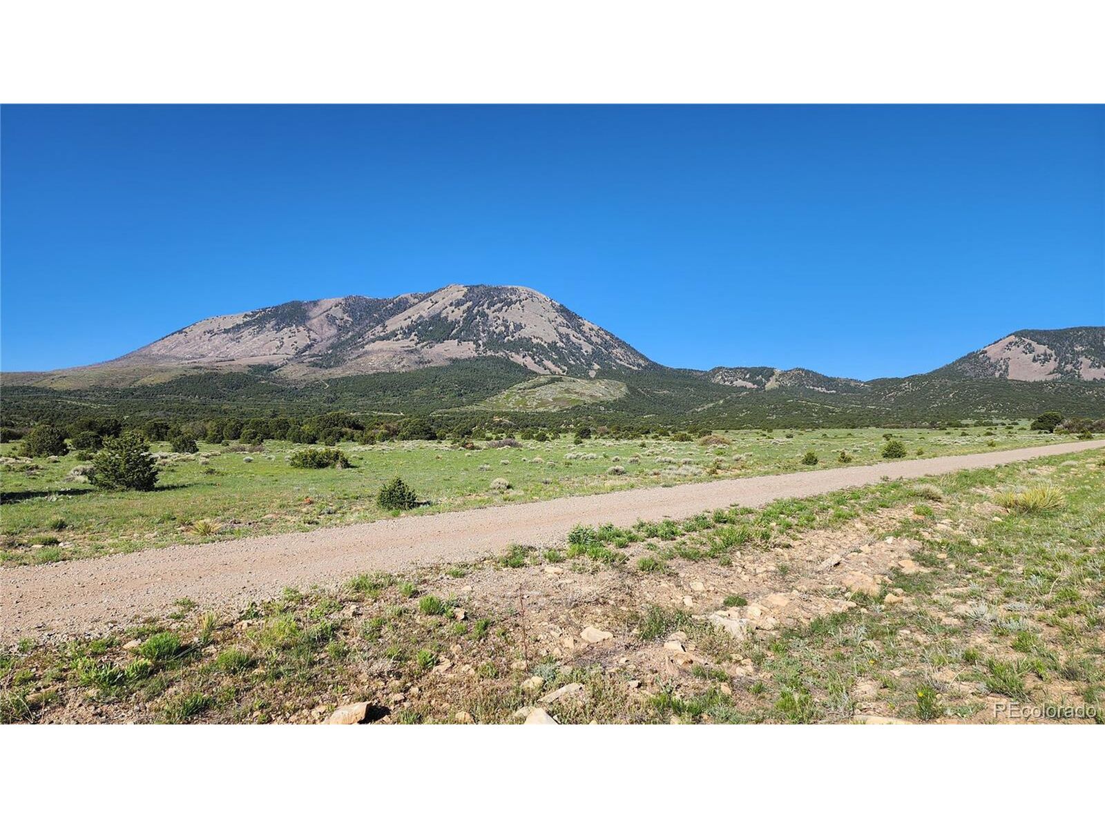 Property Photo:  60 Colorado Land &Amp Grazing  CO 81040 