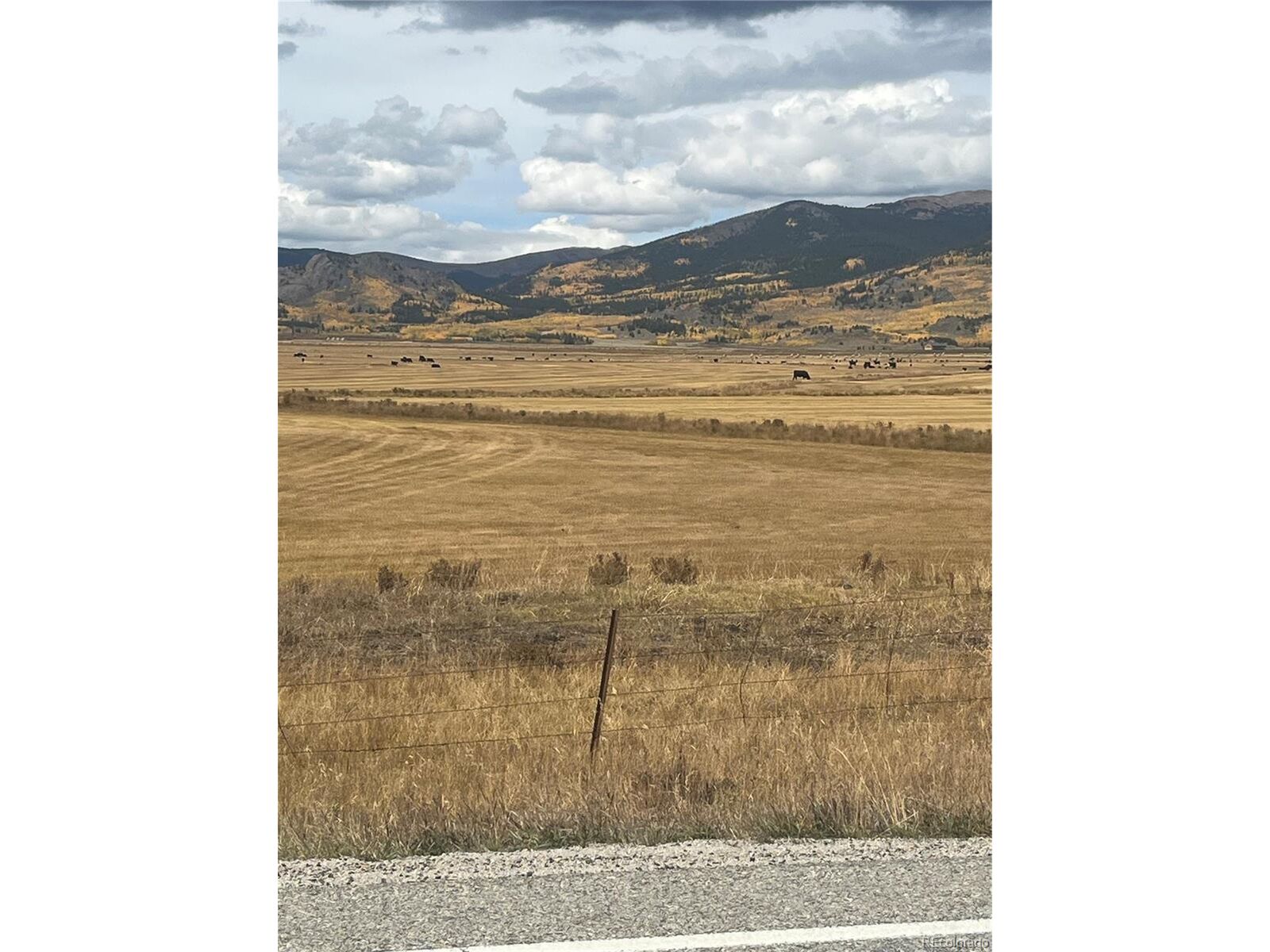 Property Photo:  450 S Park Dr  CO 80432 