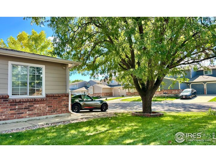 Property Photo:  12646 Elm St  CO 80241 