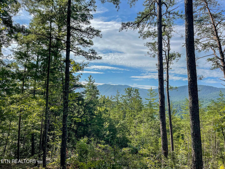 Property Photo: 849 Hawk View Rd TN 37882