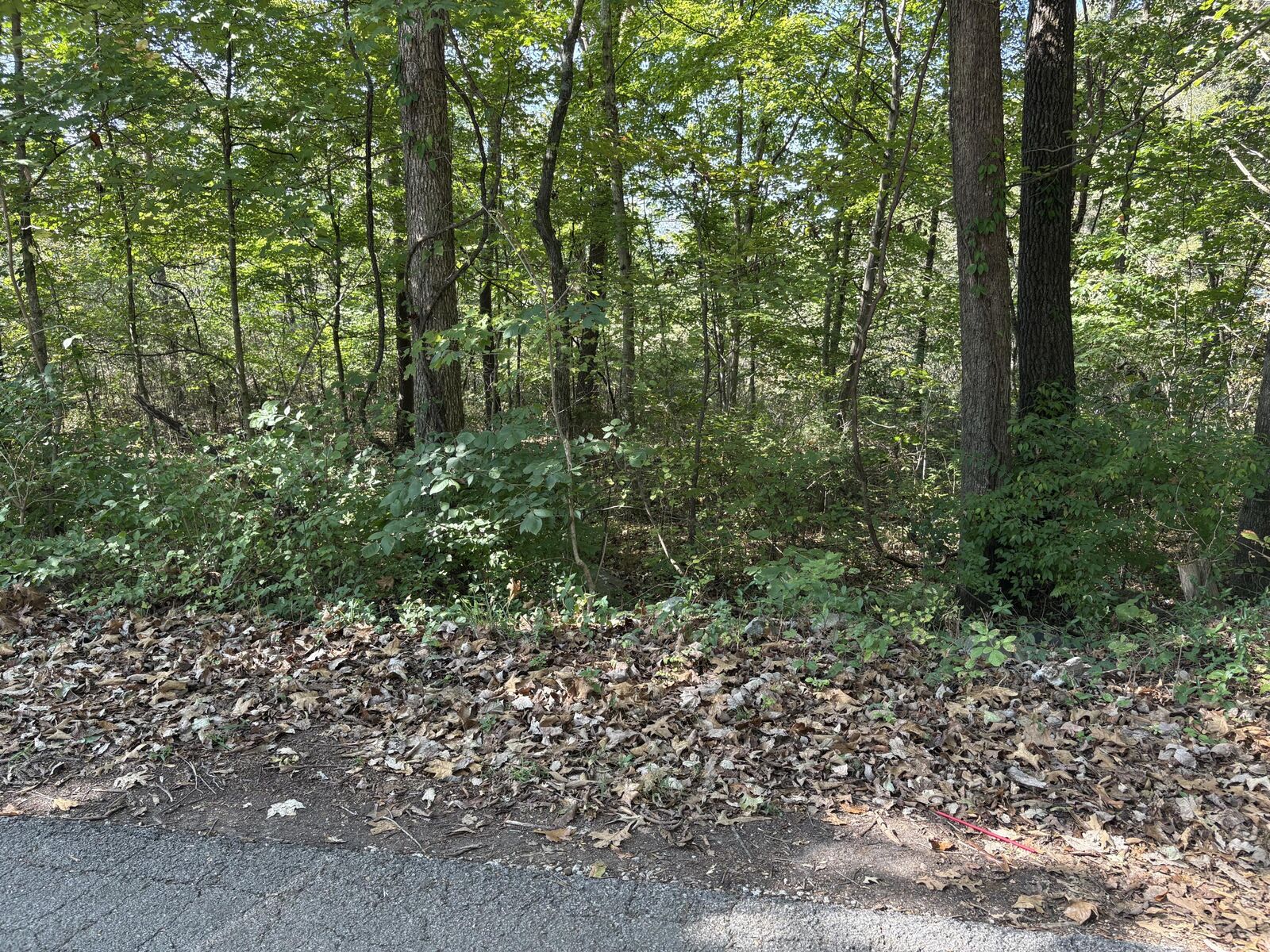 Property Photo:  Lot 625 Stonegate Drive  KY 42519 