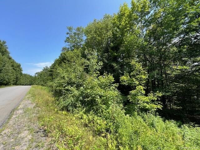 Property Photo: Lot 68 Shore Road NY 12783