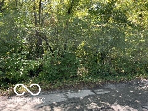 3017 W 78th Street  Indianapolis IN 46268 photo