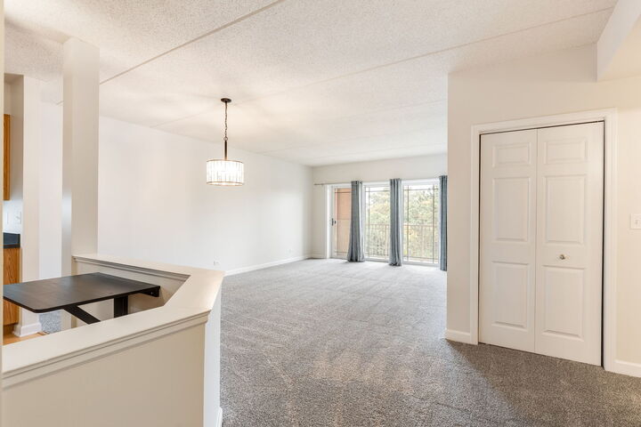Property Photo: 77 N Wolf Road 206 IL 60164