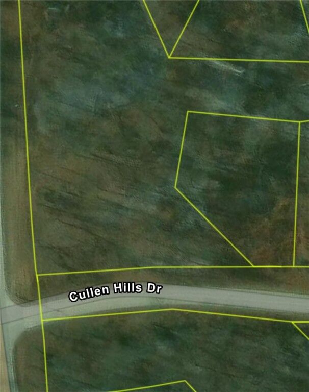 Property Photo: Lot 34 Cullen Hills Drive AR 72715