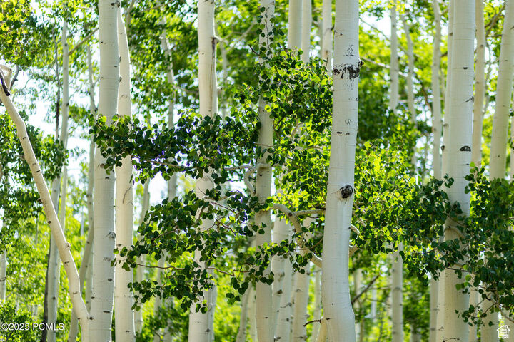 Property Photo:  5156 N Pebble Drive  UT 84049 