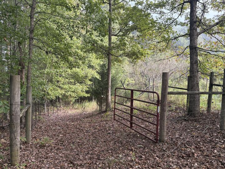 Property Photo:  393 Humphreys Road  TN 37846 