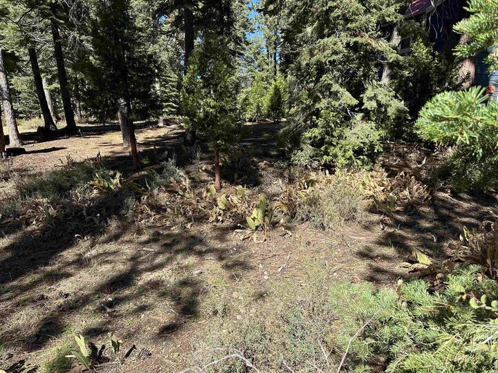 Property Photo:  Lot 9 Lake Terrace Avenue  CA 96145-000 