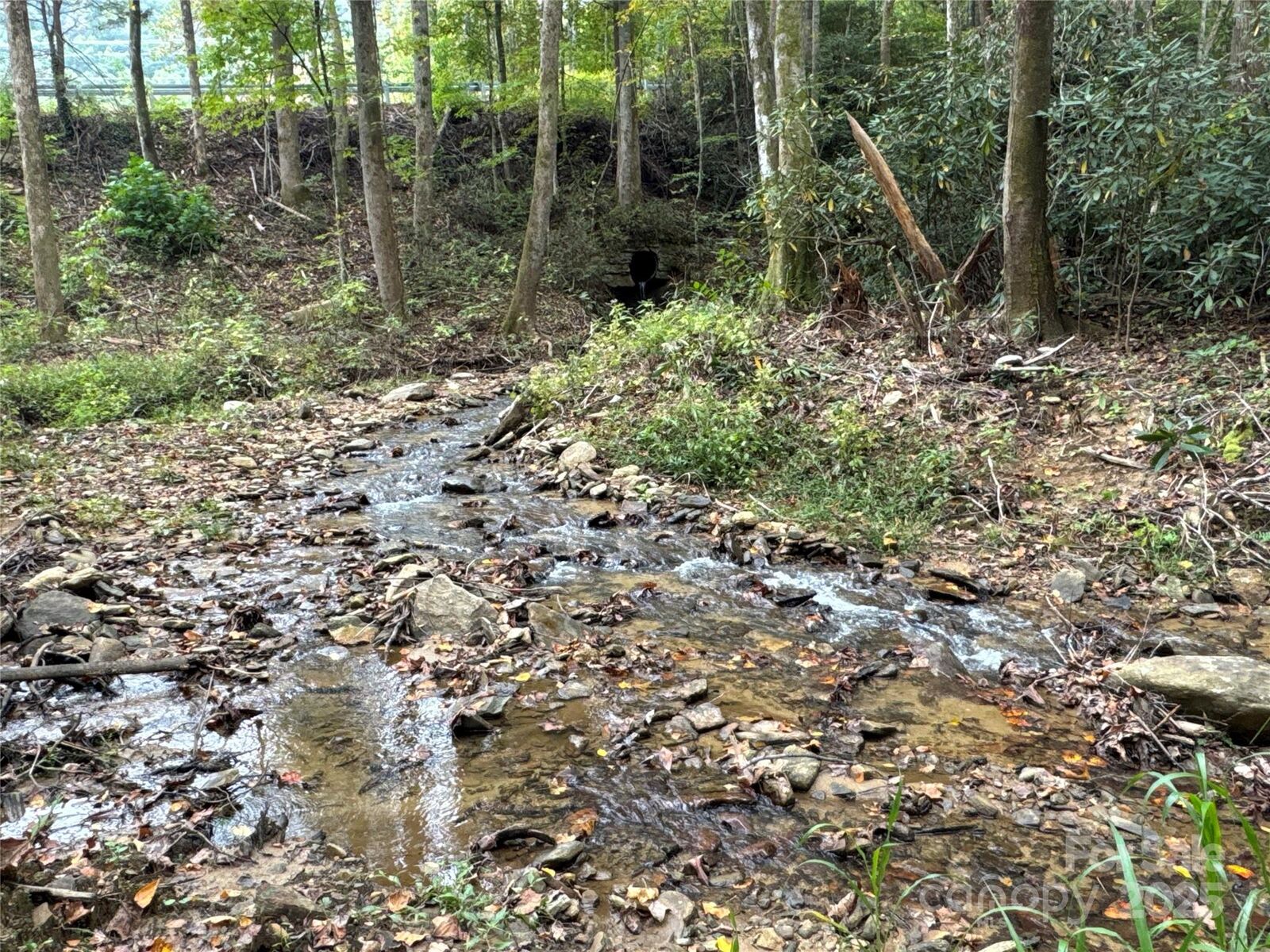 Property Photo: 0 Mt Hebron Road NC 28711