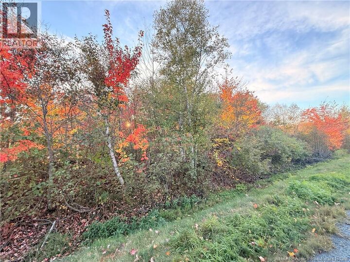 Photo de la propriété:  Lot Route 117  NB E8A 1R5 