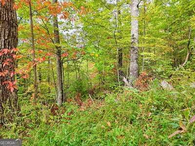 Property Photo: Lot 23 Skyview Overlook NC 28904