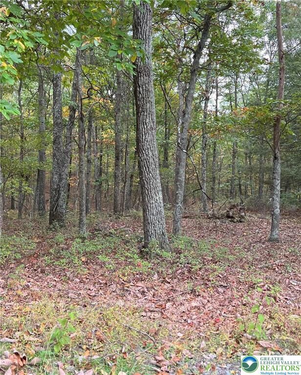 Property Photo: 289 Forest Drive PA 18325
