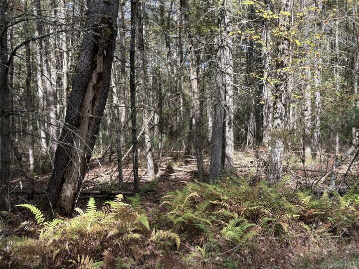 17 Lot 17 Desmond Crossing  Bethel NY 12720 photo