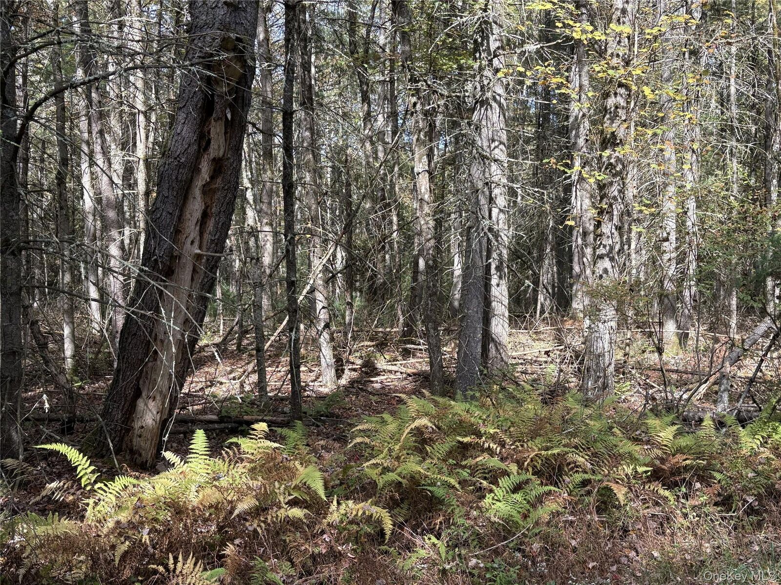 Property Photo: 17 Lot 17 Desmond Crossing NY 12720