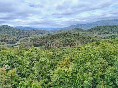 Property Photo: Lot 1 Skyview Drive NC 28904