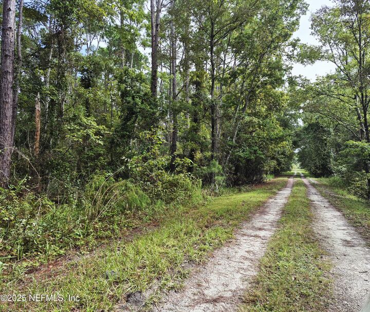 Property Photo: 214 Dogwood Avenue FL 32139