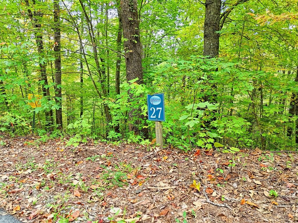 Property Photo: Lot 27 Skyview Drive NC 28904