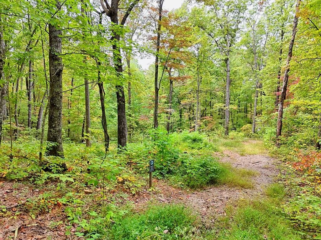 Property Photo: Lot 30 Skyview Drive NC 28904