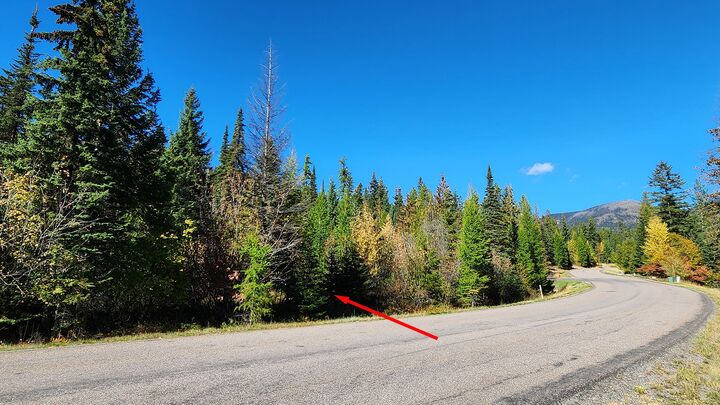 Property Photo:  254 S Beargrass Circle  MT 59937 