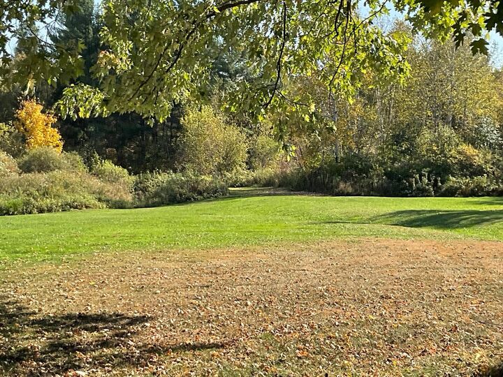 Property Photo: 56694 Williams Lane MN 55072