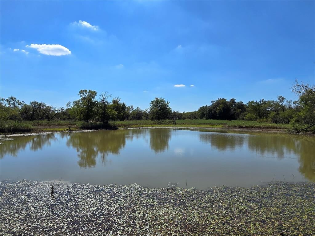 Property Photo: Tbd County Road 453 TX 76470