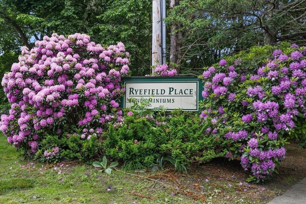Property Photo: 8 Longmeadow Dr 14A MA 01969