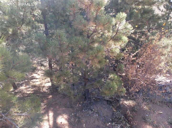 Property Photo:  1944 May Queen Drive  CO 80813 