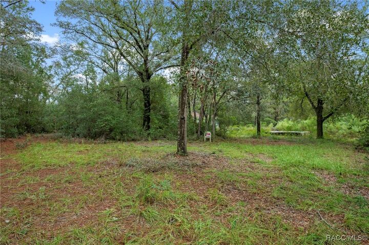 Property Photo:  25 S Haid Terrace  FL 34461 