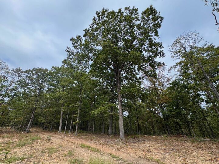 Property Photo: Xx Firetower Road AR 72542