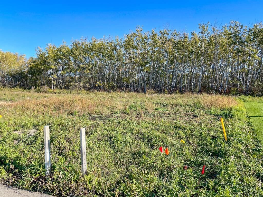Photo de la propriété:  1051 Vaughan Avenue  MB R1A 0W6 