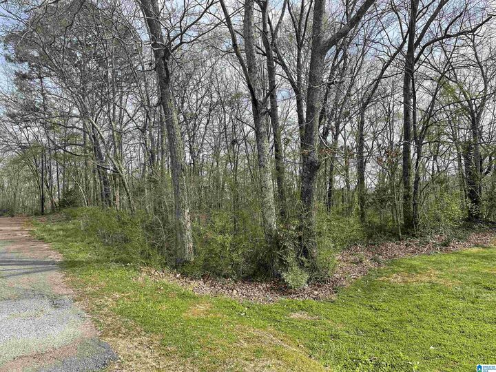 Property Photo: 0 W 24th Street 0 AL 36201