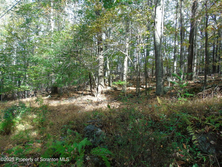 Property Photo: Deer Run PA 18444