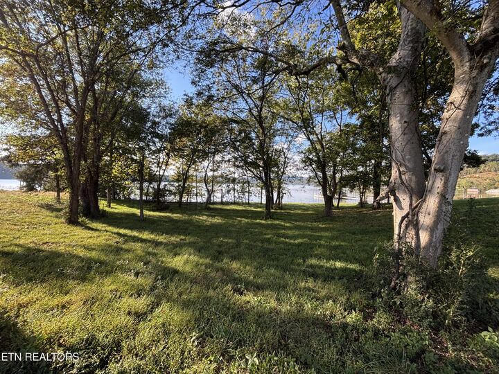 Property Photo: Pointe Vista Drive TN 37854