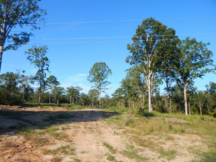 Property Photo: Tbd 7.57 Acres Hwy 259 TX 75683