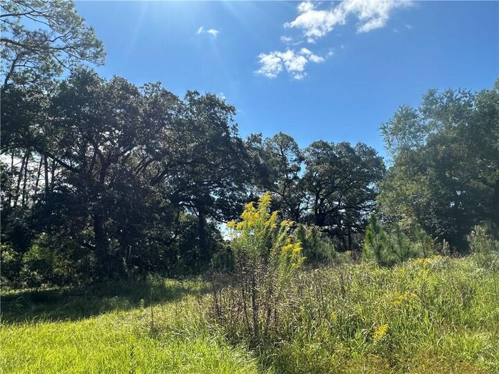 Property Photo: 8916 W Alba Street AL 36509