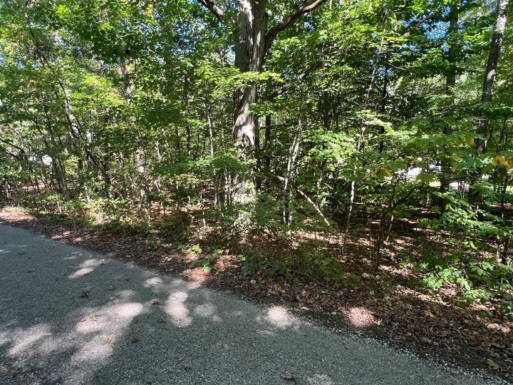 Property Photo:  000 Vl Lake Dr Lot 174/175  MI 49010 