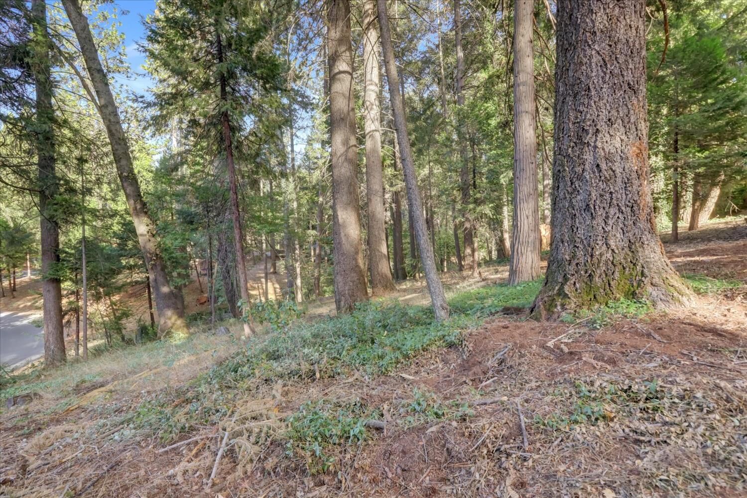 Property Photo: 12786 Mayflower Drive CA 95959