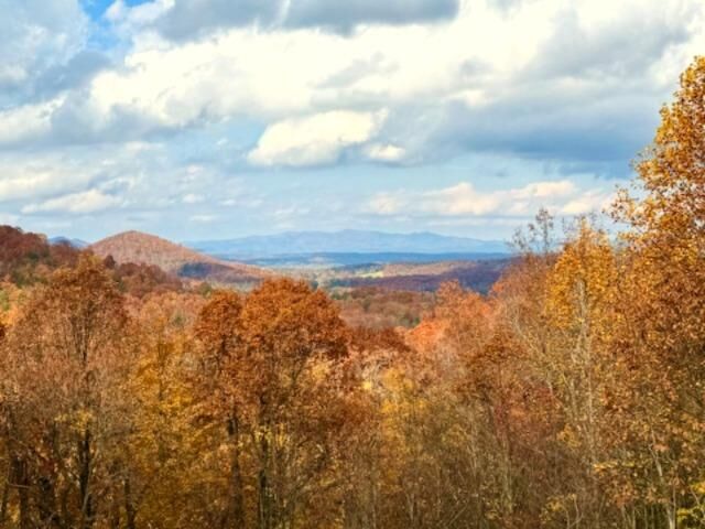 Property Photo: 1571 Mangums Trail GA 30513