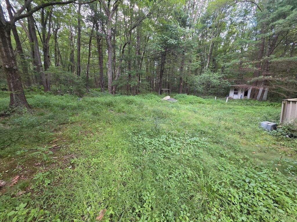 Property Photo: 207 Breckenridge St MA 01069