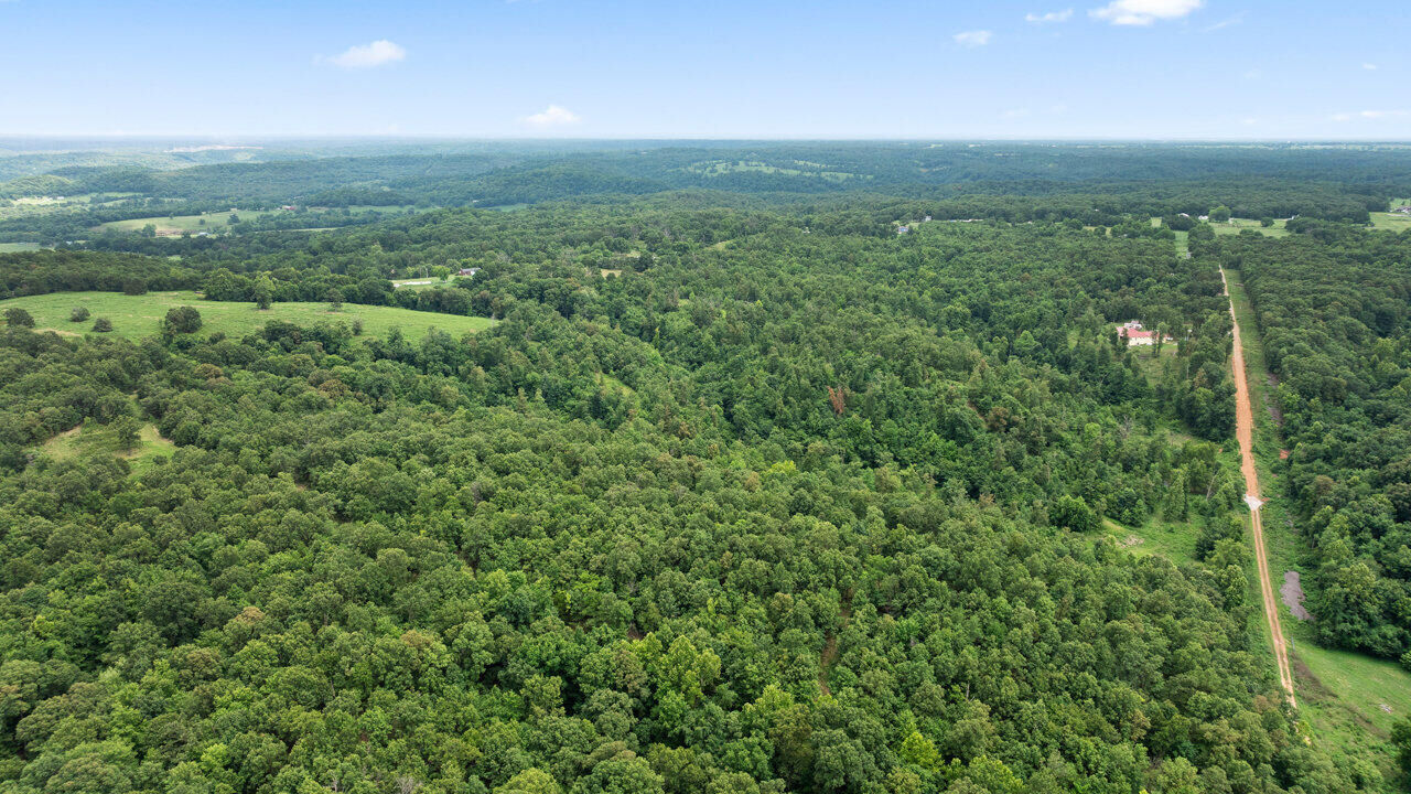 Property Photo:  Tract 9 Styles Road  MO 64854 